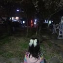 리리노 오로라 하트 리본핀 후기 조카선물 추천 헤어악세사리