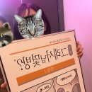 방탈출 카페 초보자 후기｜에피소드방탈출 강남점 입문자도 가능했던 추천 테마
