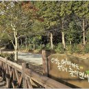 진봉 Daum카페