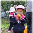 혜민농장 이미지