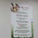 유성시장 이미지