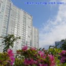 황금나무공인중개사사무소 이미지