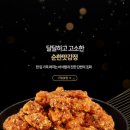 영월본가 이미지