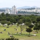 뚝섬한강공원-41 이미지