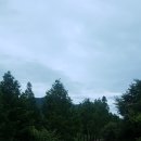 신장둔치 이미지