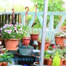 오월의정원 이미지