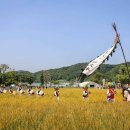 양평밀축제 2026 일정·입장료·교통 총정리 | 청운면 밀밭 포토존 후기