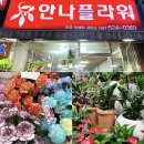 대전꽃집안나플라워 이미지