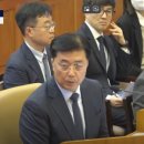 강호가설 이미지