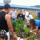 녹촌2리 이미지