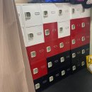 한샘프로복싱체육관 이미지