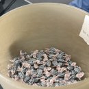 스마튼병원 | (부천/신중동) 무화과 식당 아기랑 내돈내산 방문 후기, 부천웨이팅 맛집