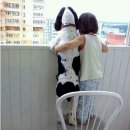 오징어 데이 네이버블로그