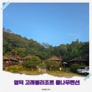 통나무펜션 | 영덕 고래불리조트 통나무펜션 가성비 숙소 금액 후기