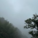 (주)청도 | [경북 청도] 운문사 사리암 가는 길: 소요시간,주차, 전망 후기