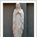 안드레아목장 이미지