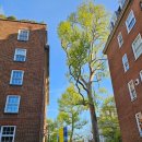 또오래민박 이미지