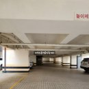 서귀동-45 네이버블로그