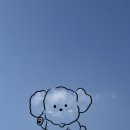 구름강아지 이미지