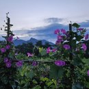 가조농장 이미지