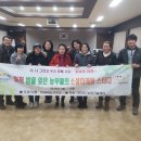 으뜸 복숭아 풍경 이미지