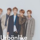 드림라이크 이미지
