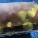 용복농장 이미지