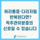 인천터미널정형외과의원 | 허리통증·다리저림 반복된다면? 척추관이분증의 신호일 수 있습니다ㅣ인천터미널정형외과