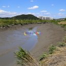 갯골생태공원(인포센터) 이미지