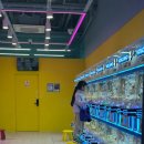 우리동네 뽑기샵 이미지