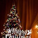 금맥부동산공인중개사사무소 이미지