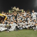 선린인터넷고등학교 이미지