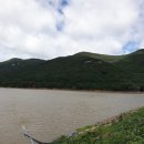 완도11호 이미지