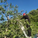 해오름농장-1 이미지