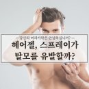 스프레이헤어