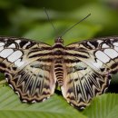 건강초음파 이미지