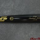 블랙배트 이미지