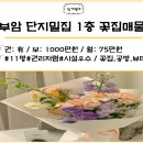 서면동일공인중개사사무소 이미지