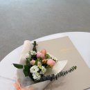 별 | 에스띠아 드레스투어 후기 :: 드레스투어 꿀팁 드레스별 후기