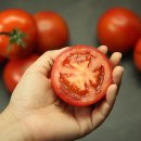 옥종농장 이미지