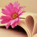 기억되는 날 이미지