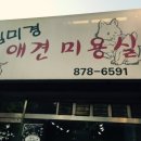 청담동물병원애견미용실 이미지