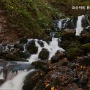 코슈아트