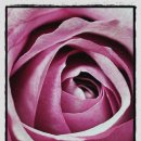 골프파라다이스 이미지