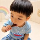 21개월 아기 키우는 집의 선택, 아기 감기 뚝 무설탕 배도라지고 내 돈 내산 후기