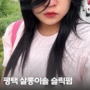 살롱이솔 | 평택 고덕 슬릭펌 살롱이솔 평택 미용실 내돈내산 추천