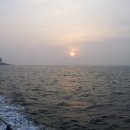 군산쭈구미집