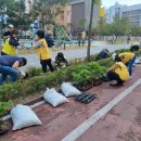 배곧1동주민센터 이미지