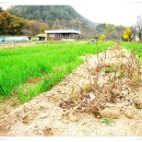 삼성사슴농장 이미지