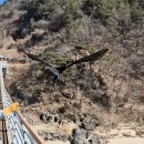 자연동물병원 이미지